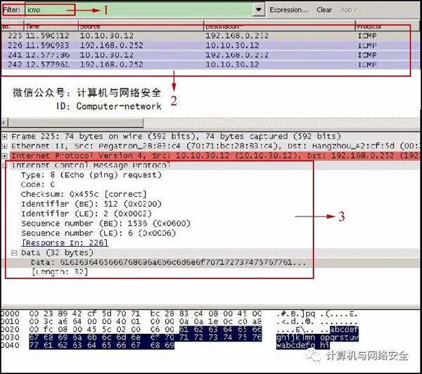 网络安全编程：原始套接字的使用