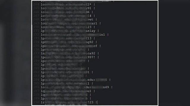 风口浪尖的视频会议No.1,背后折射的安全问题让人深思