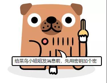 小朋友都能看懂的 HTTPS 之加密算法