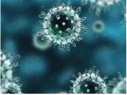 恶意软件伪装成冠状病毒地图,感染PC窃取密码