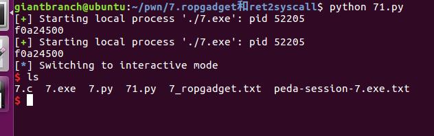 构造带有堆栈保护的指令流