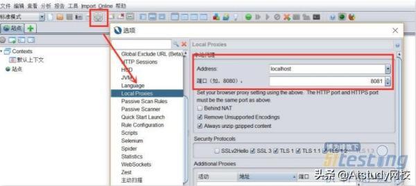 安全工具OWASP、Burp Suite、Appscan对比
