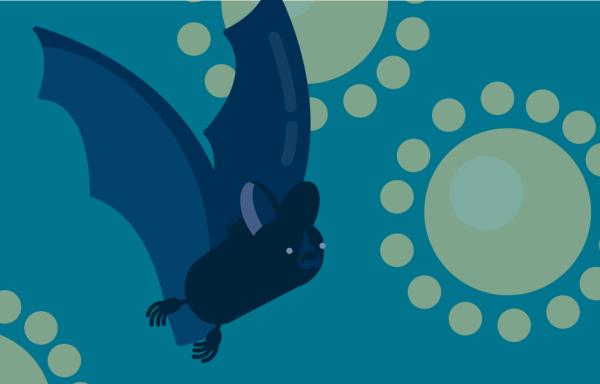 从苹果&ldquo;解锁门&rdquo;事件反思国内疫情当前的公众安全和个人隐私