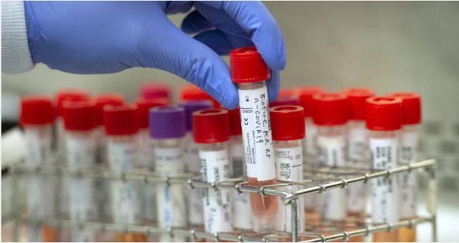 印度COVID-19患者的检测结果信息几乎全部被泄漏