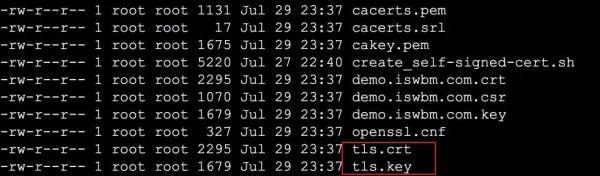 点亮你的 HTTPS？原来这么简单！！