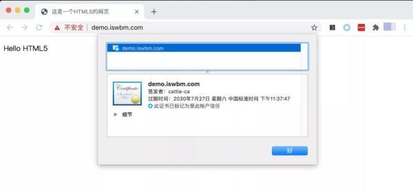 点亮你的 HTTPS？原来这么简单！！