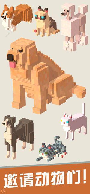 口袋小屋中文版截图