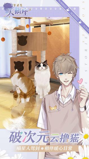 梦间集天鹅座截图