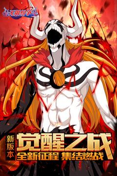 无限纷争（死神觉醒）截图