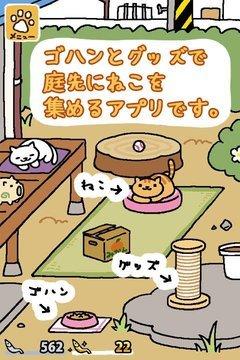 猫咪后院截图
