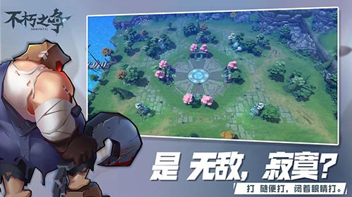 不朽之争游戏截图