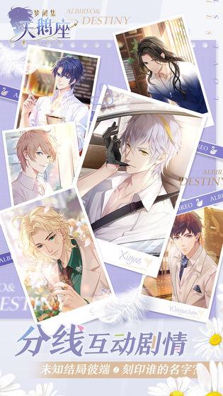 梦间集天鹅座截图