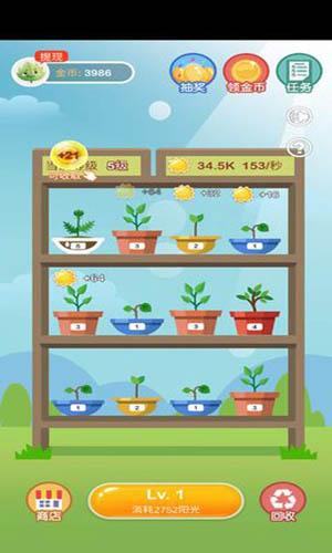 阳光金币屋最新版截图