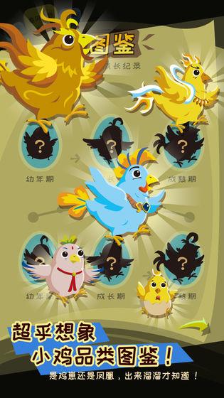 鸡不可失单机版截图
