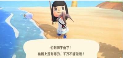 猛男捡树枝截图