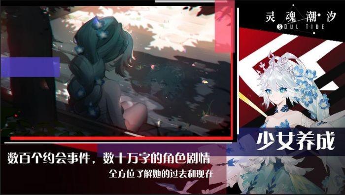 灵魂潮汐截图