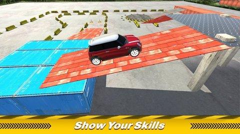 真正的停车场驾驶截图