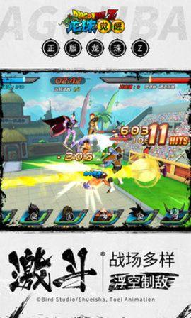 赛亚人觉醒截图