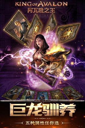 阿瓦隆之王截图
