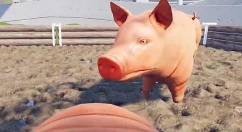 骚猪模拟器截图