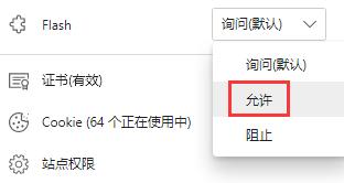 网页不播放flash