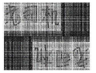 解密：阿里巴巴公司根据截图查到泄露信息的员工的技术是？