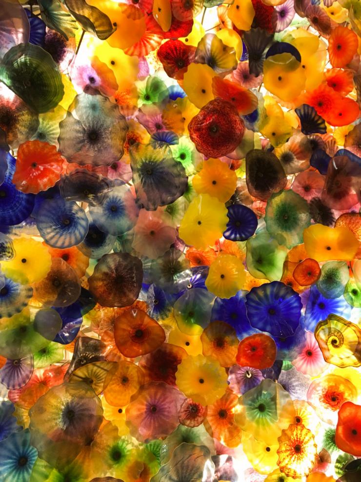 一个修行人的故事，梦回 Las Vegas