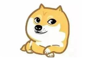 30亿条公民信息泄露背后，谁该为此背锅