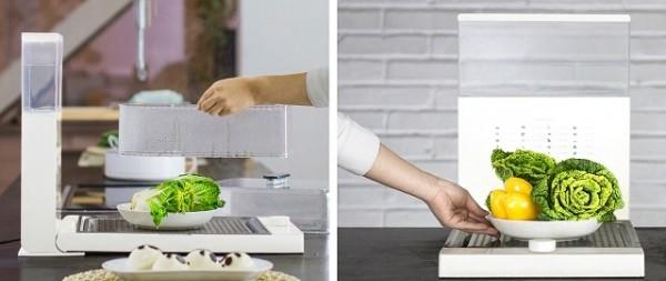 唐小蒸要做中式“微波炉”,可行吗?