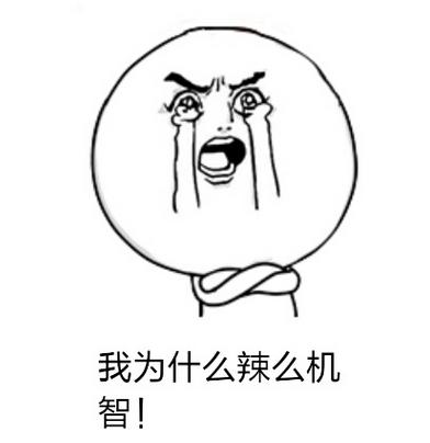 绝密！想看希拉里和川普是怎样聊天吗？阅后即焚