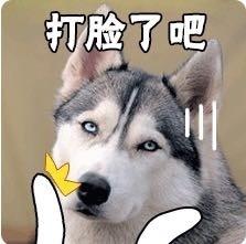 看到机器人拿螺丝刀捅向西红柿，我都要吓尿了