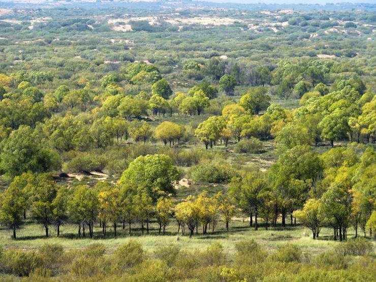 和世界顶级黑客再次办大会，百度安全要什么