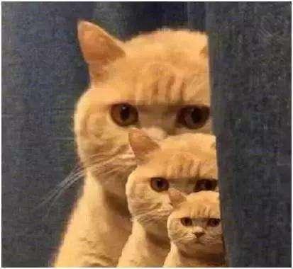 &ldquo;键盘手&rdquo;冒充美女搭讪，荐股诈骗都有哪些辣眼睛操作