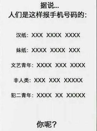 风宁：自由追风者