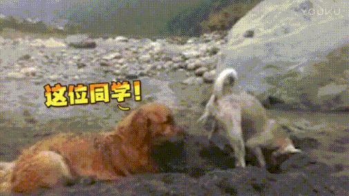 “黑客”杭特:安全圈“攻”太多了,这不好