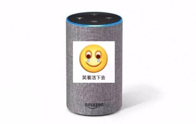 偷听的智能音箱都忍不下去了：别BB，我给你们报警吧