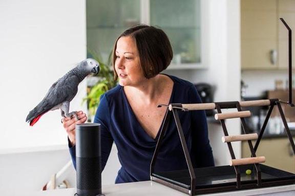 鹦鹉用 Echo 购物成功？浙大&ldquo;海豚攻击&rdquo;不服