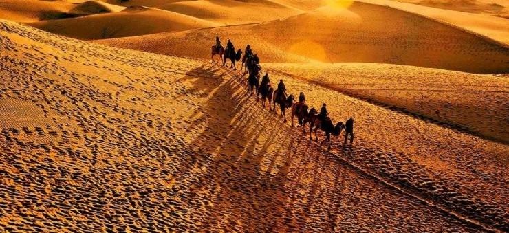 毒师周军：我如何创造一只&ldquo;杀毒神兽&rdquo;