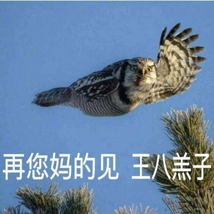 富人发正品，穷人发A货，大数据售假是个什么鬼？