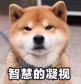这个操作很迷：为了美国的国家安全，谷歌劝政府放过华为