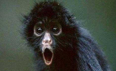 针对顶级黑客团伙，赛门铁克派出了一名&ldquo;AI侦探&rdquo;