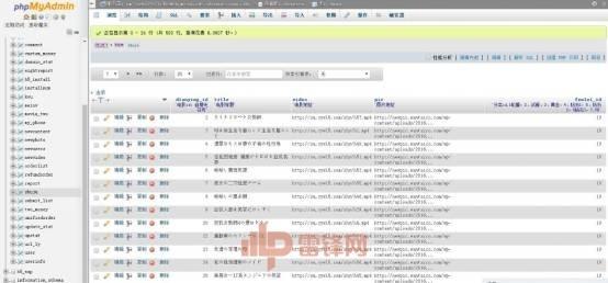 20秒色情小电影，骗了宅男6个亿