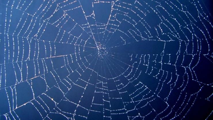 一次干掉五分之一的暗网，这个匿名组织是怎么做到的？