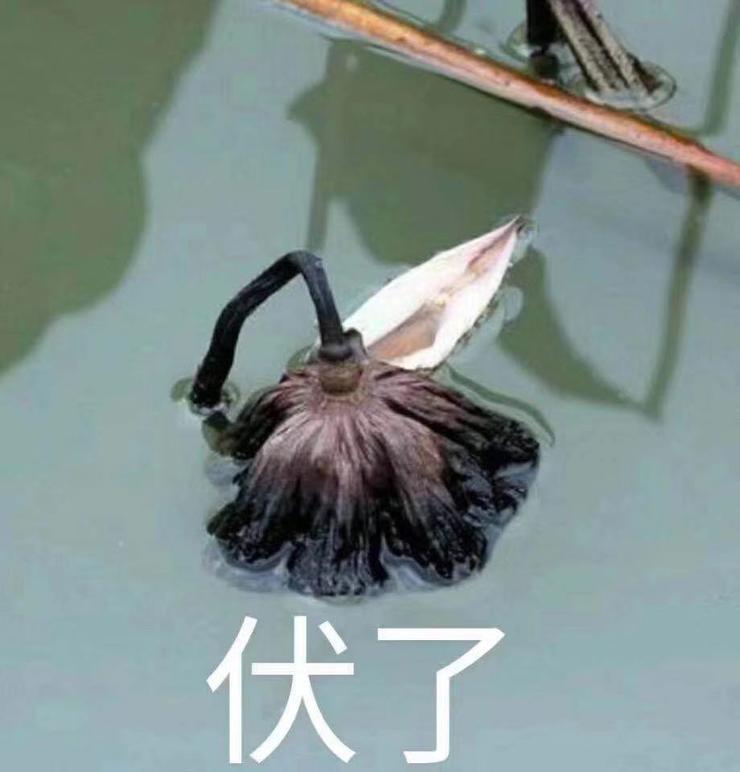 专访：&ldquo;蹲坑神器&rdquo;与它背后男人们不得不说的故事