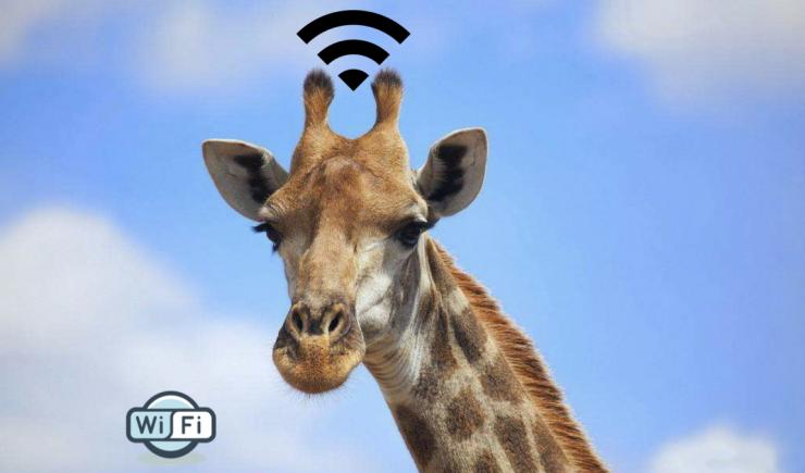 小心隔墙有眼！Wi-Fi 变狗仔还能全息成像？