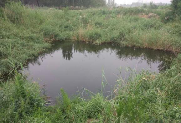 关于“李文星事件”,BOSS直聘和拉勾网是这样说的