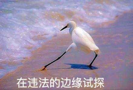 夕阳粉丝团熬夜刷数据，可能输给机器人｜揭秘虚假流量