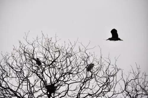 亲历者揭秘：为什么搞掉黑产这么难