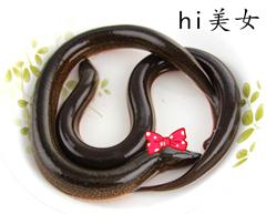 黄鳝门后续：境外团伙被端，色播链条曝光