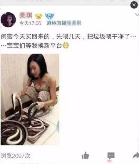 黄鳝门后续：境外团伙被端，色播链条曝光